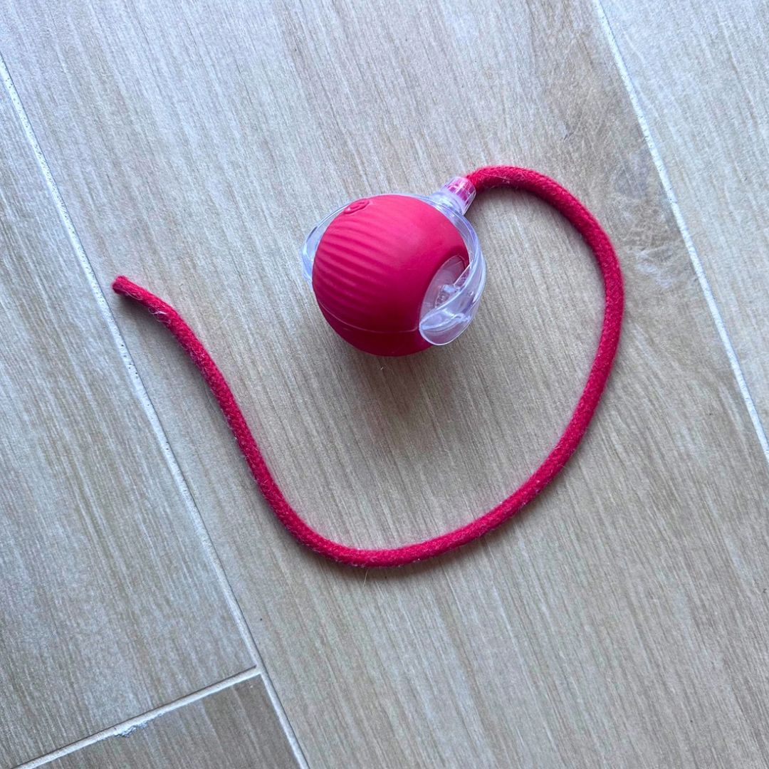 Pelota interactiva con hilo 🧶