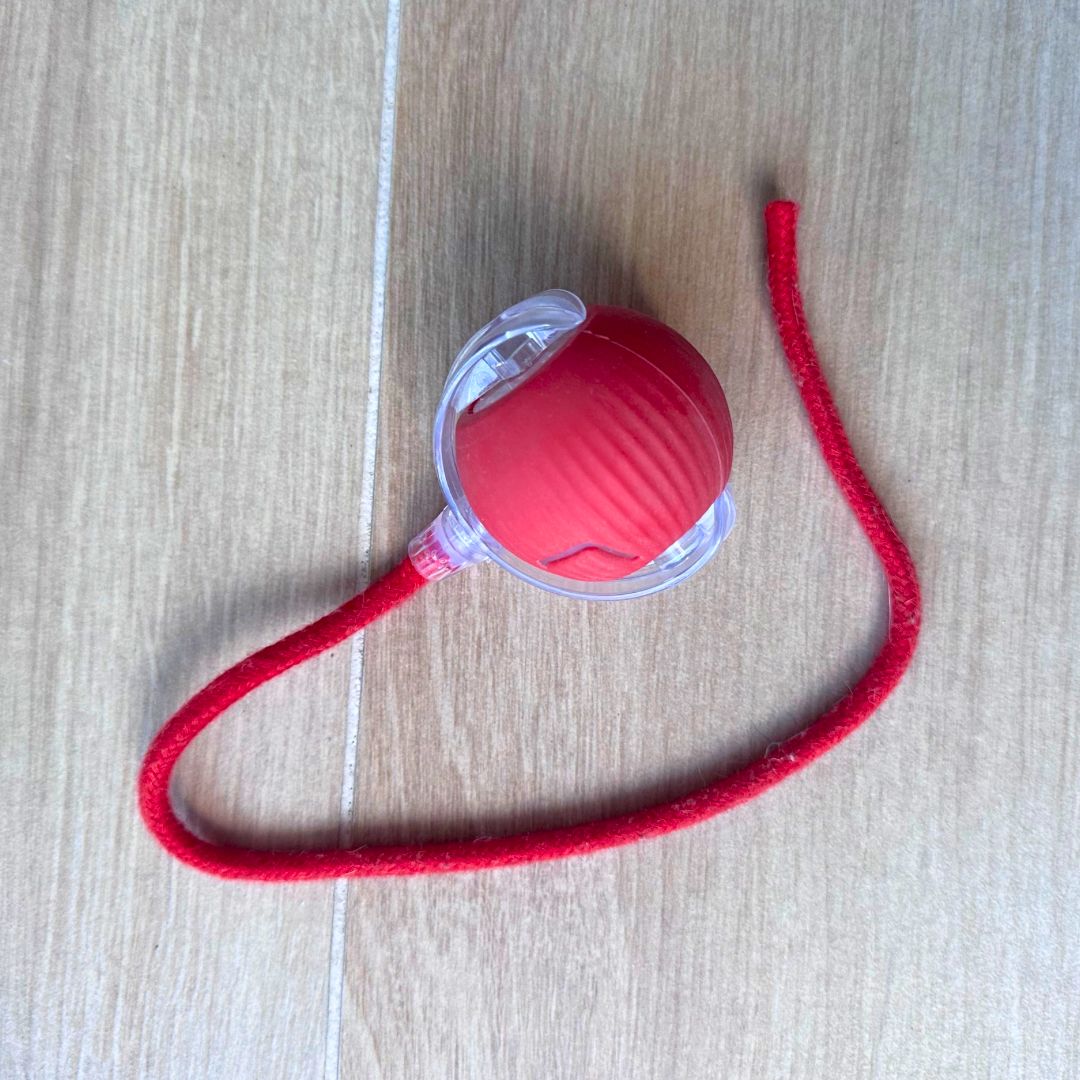 Pelota interactiva con hilo 🧶